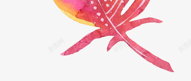 枚红色艳丽的羽毛png免抠素材_新图网 https://ixintu.com 创意 卡通手绘 星星点点 枚红色 模糊 渐变 羽毛
