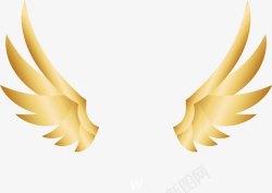 羽毛饰品金色翅膀高清图片