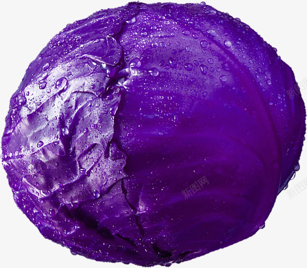 一个紫甘蓝png免抠素材_新图网 https://ixintu.com 生活 美味 蔬菜 餐饮