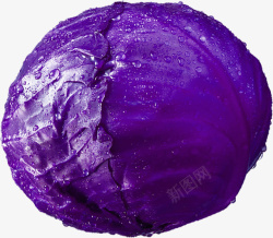 一个紫甘蓝素材