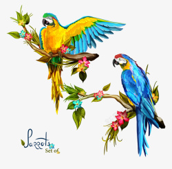 彩色美丽的鹦鹉插画矢量图素材