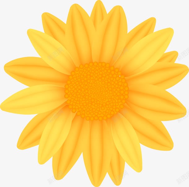 小黄花3D效果图png免抠素材_新图网 https://ixintu.com 小黄花 小黄花矢量 矢量小黄花 黄花