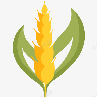 小麦LOGO图标图标
