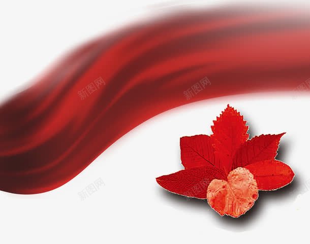 红色枫树叶子png免抠素材_新图网 https://ixintu.com 枫树叶子 红色飘带 装饰图案 邀请函装饰