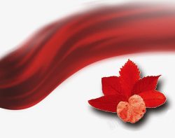 红色枫树叶子素材