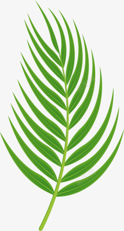 手绘热带植物绿色植物高清图片