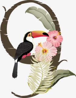 鹦鹉与花朵数字9上的花朵和鸟高清图片