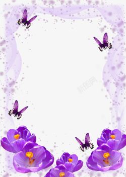 梦幻紫背景梦幻薄纱紫罗兰相框高清图片