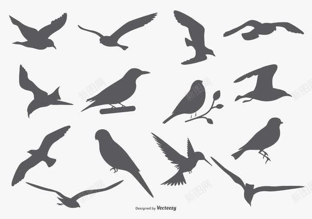 多个鸟剪影png免抠素材_新图网 https://ixintu.com 矢量剪影 飞翔的鸟 鸟类