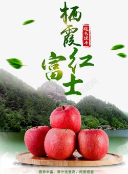 苹果果园栖霞红富士高清图片