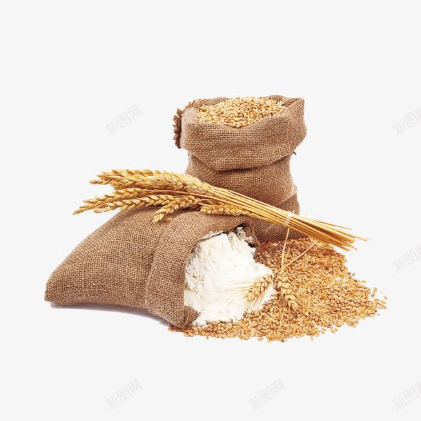 小麦png免抠素材_新图网 https://ixintu.com 小麦粉 粗粮 麦穗