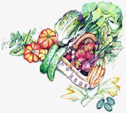 水彩大白菜手绘水彩蔬菜高清图片