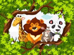 爬树枝的熊猫森林动物高清图片
