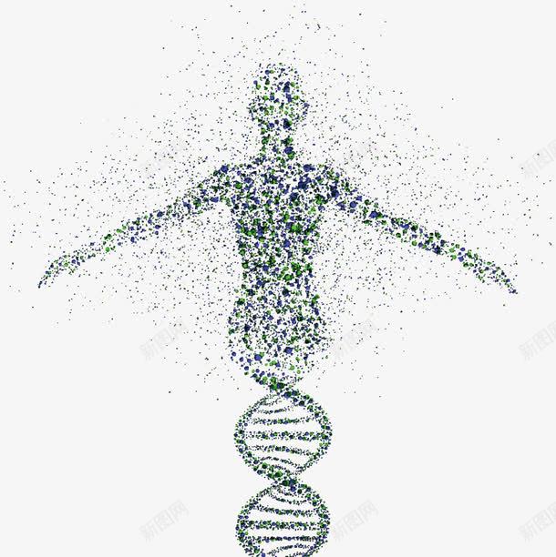DNA人体遗传png免抠素材_新图网 https://ixintu.com DNA 基因 遗传