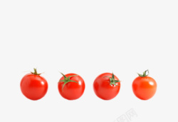 带藤哈密瓜实物新鲜红色带藤樱桃番茄高清图片