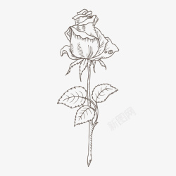 手绘灰色线条玫瑰花素材
