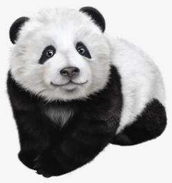 熊猫宝宝手绘国宝熊猫高清图片