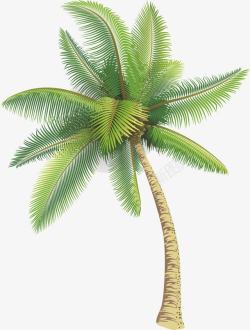 卡通插画风热带椰子树素材