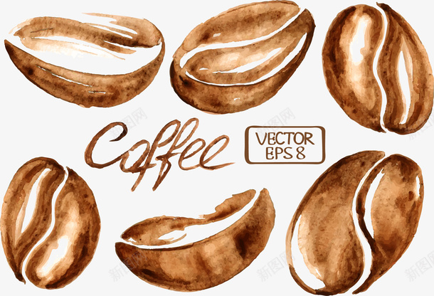 水彩咖啡豆矢量图eps免抠素材_新图网 https://ixintu.com 咖啡豆 手绘 水彩咖啡豆 矢量素材 矢量图