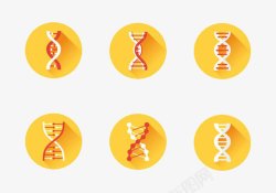 遗传分子DNA图标集高清图片