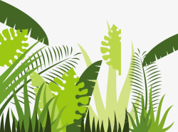 丛林植物PNG丛林中的绿色植物矢量图高清图片