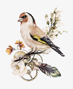 齿轮卡通素材手绘水彩树枝上的小鸟高清图片