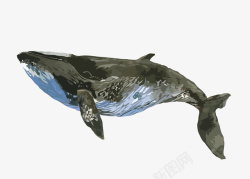 海洋水彩鲸鱼矢量图高清图片