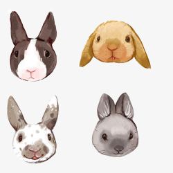 黄灰相间小兔子各种表情头像手绘高清图片