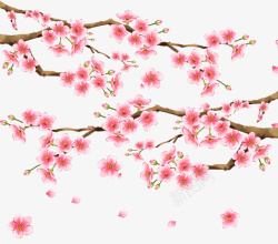 春天装饰手绘桃花素材