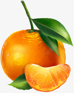 橘子海报卡通手绘水果装饰海报橘子高清图片
