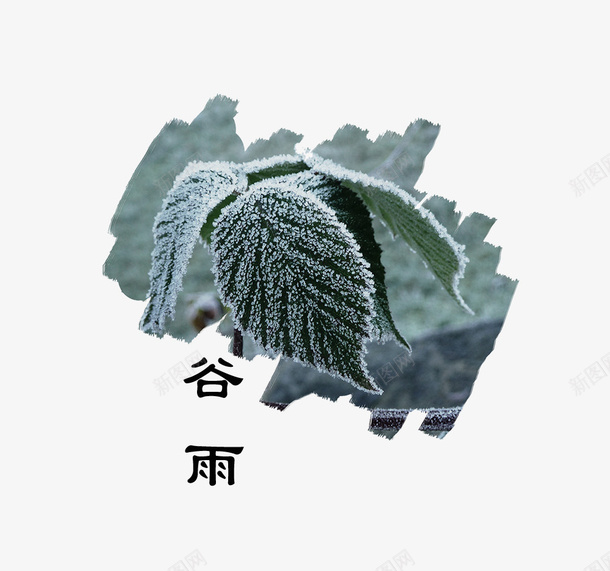 二十四节气谷雨之植物萌芽主题装png免抠素材_新图网 https://ixintu.com 中国节气 二十四节气 二十四节气谷雨之植物萌芽主题装饰免费下载 传统节日 春天 春季 艺术字 谷雨 雨季