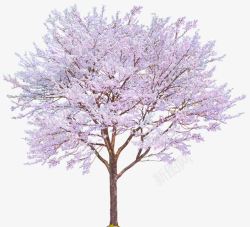 樱花树装饰粉色樱花树樱花装饰图案高清图片