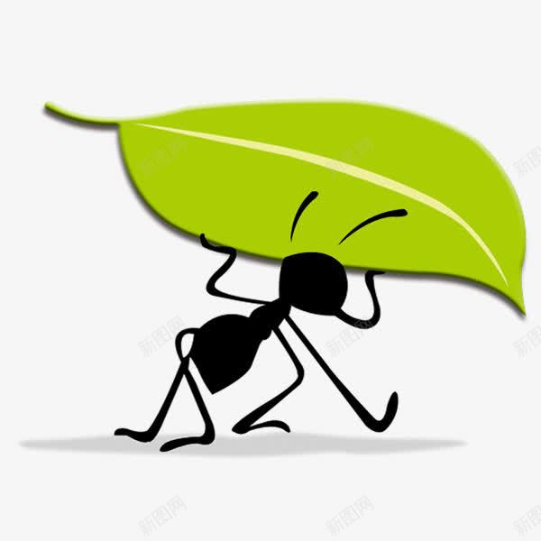 蚂蚁搬树叶png免抠素材_新图网 https://ixintu.com 励志蚂蚁 小蚂蚁 绿色 蚂蚁 蚂蚁搬树叶