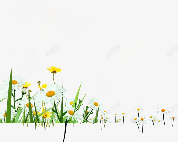 春天阳光下的花朵装饰png免抠素材_新图网 https://ixintu.com 春天 花朵 装饰 阳光