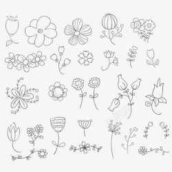 手绘线稿花朵和植物合集矢量图素材