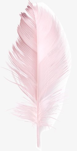 淡粉色羽毛粉色羽毛高清图片