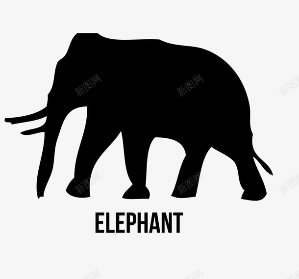 可爱的大象剪影图png免抠素材_新图网 https://ixintu.com 创意 剪影 动物 大象 尾巴 英文字母 象牙 鼻子