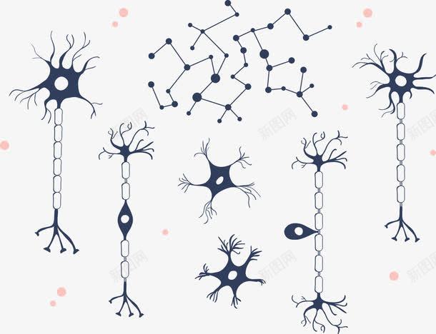 可爱简约医学神经细胞png免抠素材_新图网 https://ixintu.com 人体 医学细胞 生物 神经细胞 科研 细胞