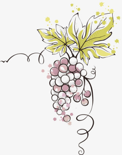 一串儿线稿葡萄手绘葡萄高清图片