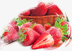 采摘的草莓夏季水果草莓上市促销海报高清图片