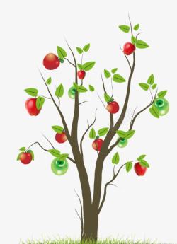 红苹果树2017红苹果树青苹果树高清图片