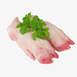 土猪腌腿肉绿色菜叶装饰生猪蹄高清图片
