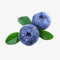 蓝色食物实物带叶子的野生蓝莓高清图片