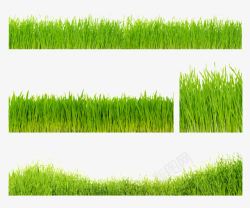绿草地装饰青草元素高清图片