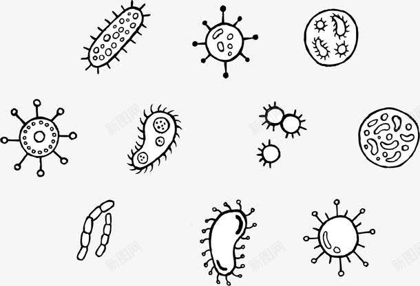 细菌细胞模式图简笔画图片