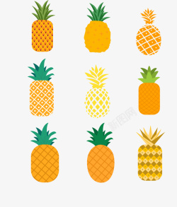 水果集合素材菠萝集合矢量图高清图片