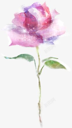 粉紫色手绘水彩玫瑰素材
