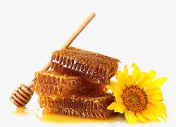 蜂蜜蜂窝蜂蜜高清图片