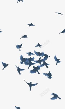 候鸟迁徙水彩鸽子高清图片