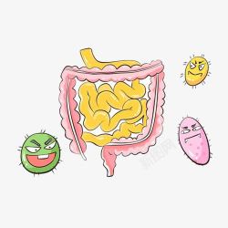 注意肠道问题肠道问题高清图片